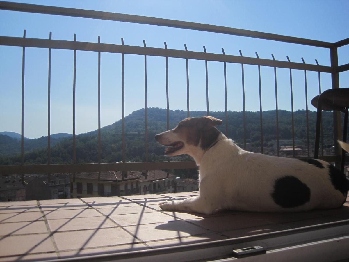 Hostal Sant Bernat Olot Habitación foto